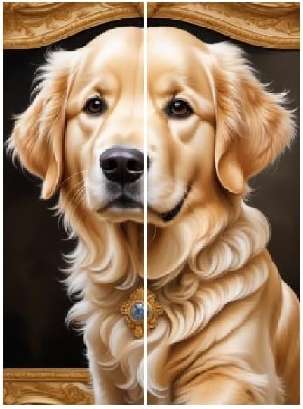 Kids Teens Adult Socks Mid Crew 3D Print Fits Men Women Boys Girls Youth Children Funny Novelty Over 70 Designs