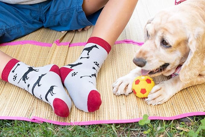 socks n socks-Kids 5-pair Fun Cool Cotton Colorful Dress Crew Socks Gift Box